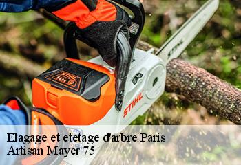 Elagage et etetage d'arbre 75 Paris  Artisan Mayer 75