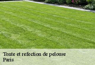 tonte-et-refection-de-pelouse Paris