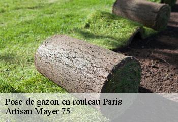 Pose de gazon en rouleau 75 Paris  Artisan Mayer 75