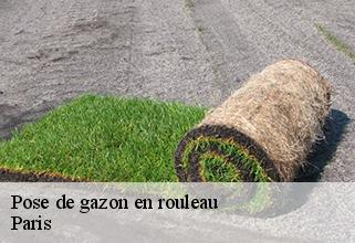 pose-de-gazon-en-rouleau Paris