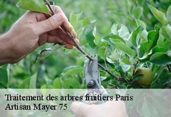Traitement des arbres fruitiers 75 Paris  Artisan Mayer 75