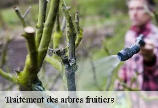 traitement-des-arbres-fruitiers