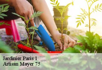 Jardinier  paris-1-75001 Artisan Mayer 75