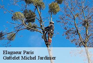 elagueur paris-75000 Gattelet Michel Jardinier