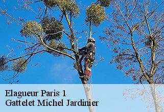 elagueur paris-1-75001 Gattelet Michel Jardinier