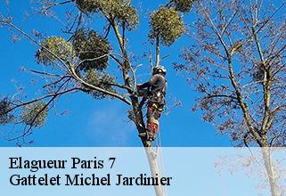 elagueur paris-7-75007 Gattelet Michel Jardinier