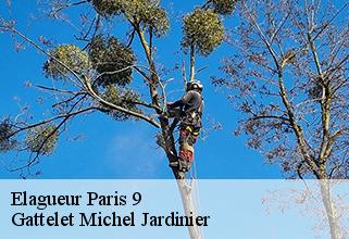 elagueur paris-9-75009 Gattelet Michel Jardinier