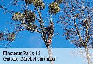 elagueur paris-15-75015 Gattelet Michel Jardinier
