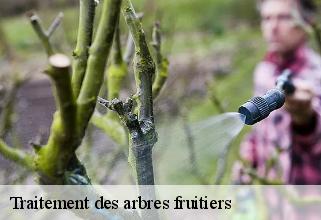 Traitement des arbres fruitiers