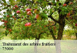 Traitement des arbres fruitiers  75000