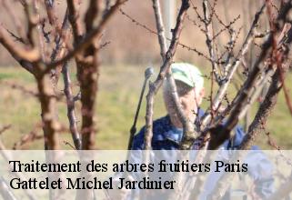 traitement-des-arbres-fruitiers paris-75000 Gattelet Michel Jardinier