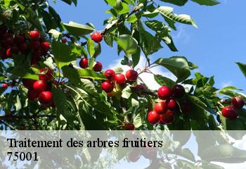 Traitement des arbres fruitiers  75001