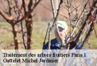 traitement-des-arbres-fruitiers paris-1-75001 Gattelet Michel Jardinier