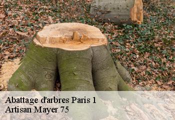 Abattage d'arbres  paris-1-75001 Artisan Mayer 75