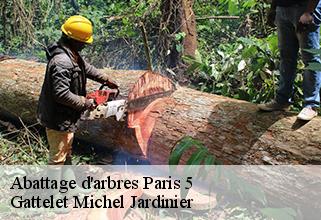 abattage-d-arbres paris-5-75005 Gattelet Michel Jardinier