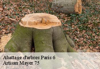 Abattage d'arbres  paris-6-75006 Artisan Mayer 75