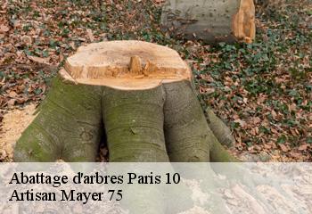 Abattage d'arbres  paris-10-75010 Artisan Mayer 75