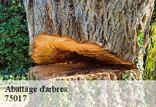 abattage-d-arbres 75017