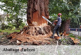 Abattage d'arbres