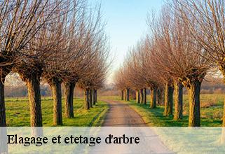 Elagage et etetage d'arbre