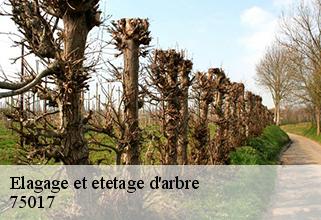 Elagage et etetage d'arbre  75017