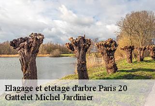 elagage-et-etetage-d-arbre paris-20-75020 Gattelet Michel Jardinier