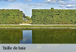 taille-de-haie