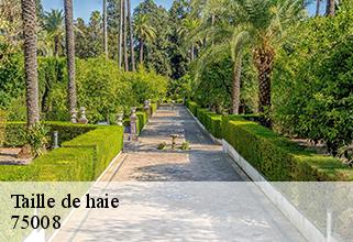taille-de-haie 75008