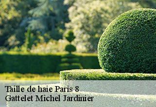 taille-de-haie paris-8-75008 Gattelet Michel Jardinier