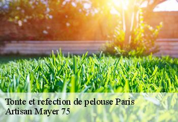 Tonte et refection de pelouse  paris-75000 Artisan Mayer 75