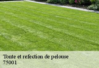 Tonte et refection de pelouse  75001