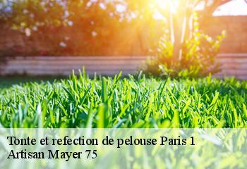 Tonte et refection de pelouse  paris-1-75001 Artisan Mayer 75