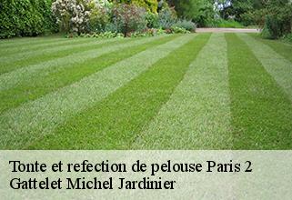 tonte-et-refection-de-pelouse paris-2-75002 Gattelet Michel Jardinier