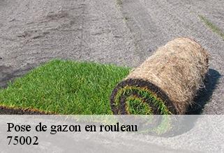 pose-de-gazon-en-rouleau 75002