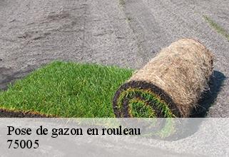 pose-de-gazon-en-rouleau 75005