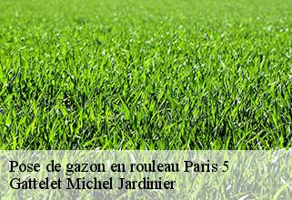 pose-de-gazon-en-rouleau paris-5-75005 Gattelet Michel Jardinier