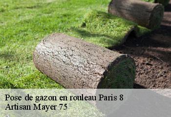 Pose de gazon en rouleau  paris-8-75008 Artisan Mayer 75