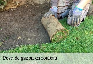 pose-de-gazon-en-rouleau
