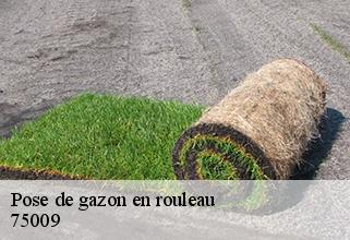 pose-de-gazon-en-rouleau 75009