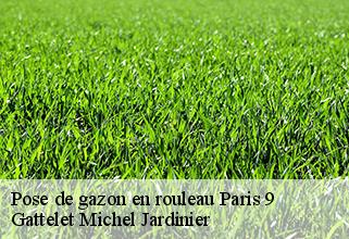 pose-de-gazon-en-rouleau paris-9-75009 Gattelet Michel Jardinier