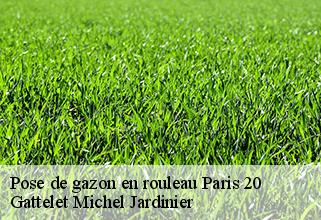 pose-de-gazon-en-rouleau paris-20-75020 Gattelet Michel Jardinier